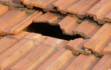 roof repair Primrose Green, Norfolk